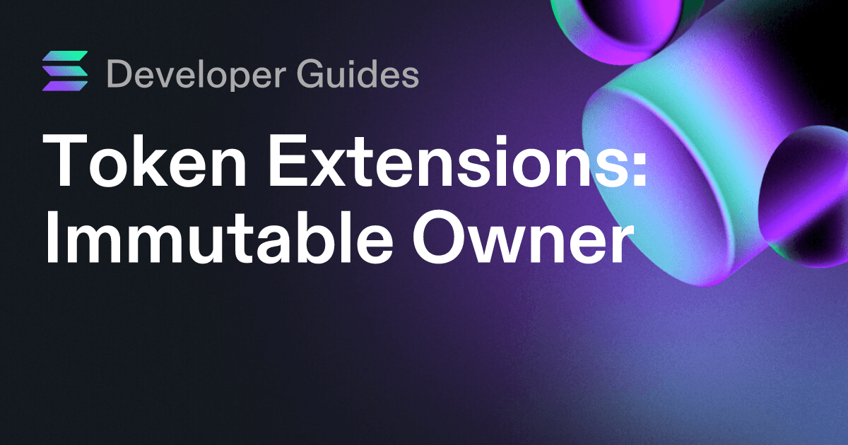 How to use the Immutable Owner extension